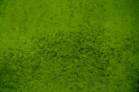 Dirty green concrete wall backgroundの写真素材