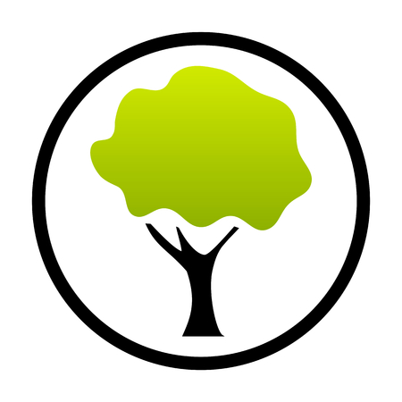 Modern tree icon symbol in circleの写真素材