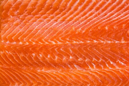 fresh red salmon fillet backgroundの写真素材