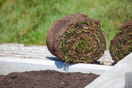 Stack of turf grass roll for lawnの写真素材