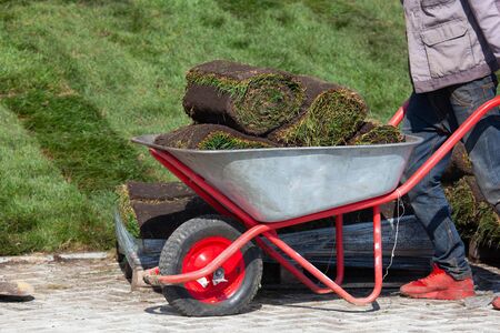 wheelbarrow with sod for new garden lawn, gardeningの写真素材