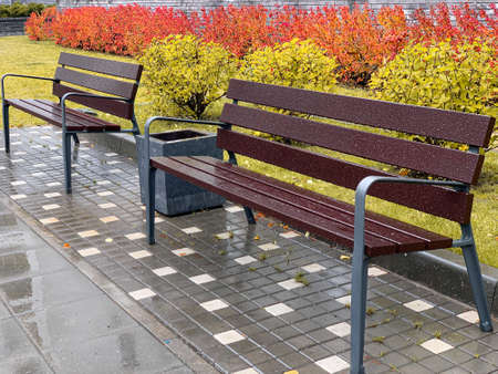 Wet empty wooden bench with rain drops in the autumn park
