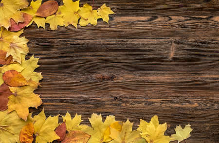 Autumn maple leaves on wood background