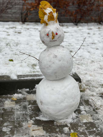 winter funny snowman with leafs on handの写真素材