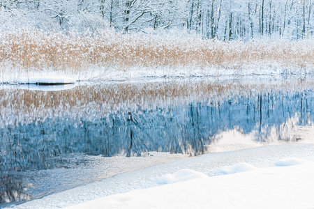 A serene winter scene of a snow-covered river reflecting the frosty reeds in tranquil stillness.の写真素材