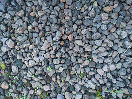 Background of pebble stones. Texture of pebbles.の写真素材