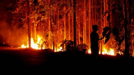 The fire is burning the forest at night. People secretly burn the forest.の写真素材