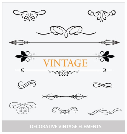 calligraphic vintage elemets and symbols setのイラスト素材