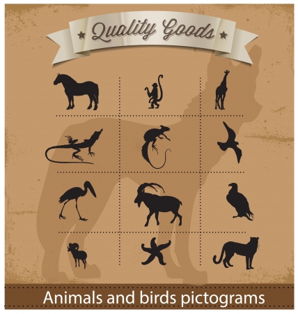 animals and birds pictogram symbols setのイラスト素材