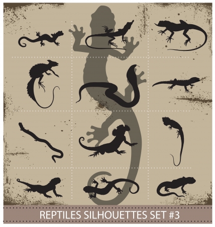 Big collection of vector reptiles silhouettesのイラスト素材