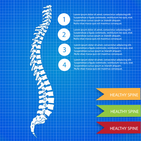 Medic spine human on the blueprint. Easy to use.のイラスト素材