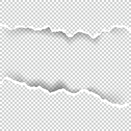 Ripped paper on transparent background.のイラスト素材