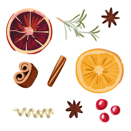 A set of spices for mulled wine: orange, rosemary, cinnamon, berries.のイラスト素材