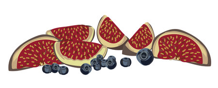Figs on a white background, Blueberries and figs.のイラスト素材