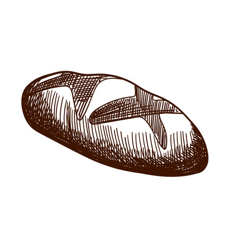 Bread sketch style vector illustration. Old hand drawn engraving imitation. Loaf of bread illustration.のイラスト素材