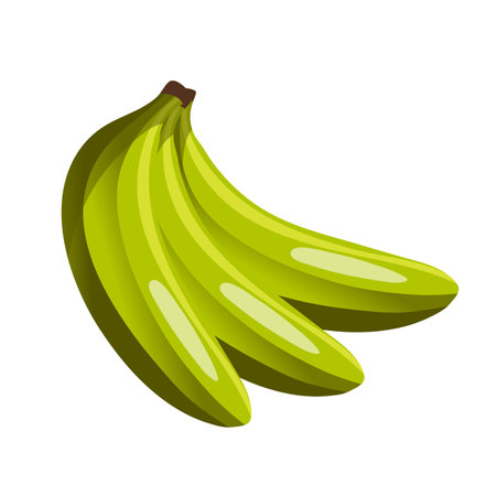 Peeled unpeeled fresh green banana. A bunch of bananas, fruit. For design and decoration. vector illustration.のイラスト素材