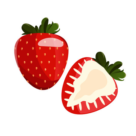 Whole strawberry and sliced half strawberry. Fresh red ripe mellow berry on white background. vector illustration.のイラスト素材