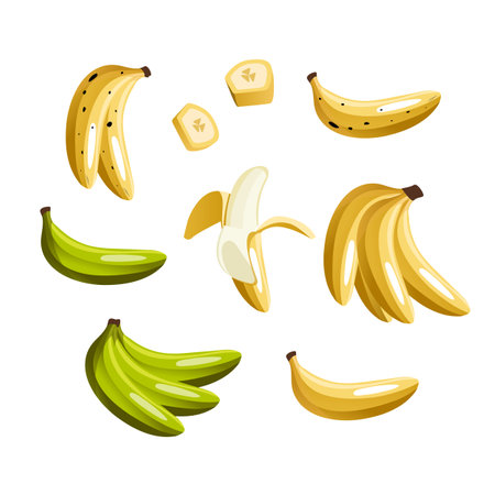 Yellow and green bananas colorful flat vector illustrations set. Exotic, tropical fruit isolated on white background. Peeled and sliced and a whole banana. Fresh vegetarian healthy food with vitamins.のイラスト素材