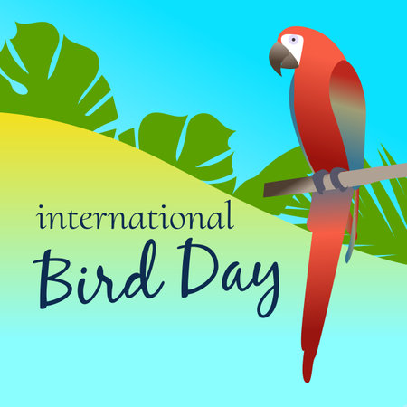 International bird day card and poster, Vector illustration. Parrots sitting on branches with tropical leaves.のイラスト素材
