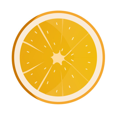 Slice of orange. Fresh fruit background isolated on white. vector illustrationのイラスト素材