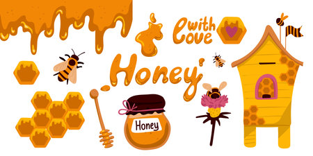 Honey and beekeeping design elements set. Collection of bee, beehive, jar, spoon, honeycomb. Vector illustration isolated objects in flat cartoon styleのイラスト素材