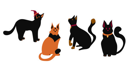 The collection of cat with Halloween theme set. Graphic resource about cat and Halloween theme for content , banner, sticker label and greeting card.のイラスト素材