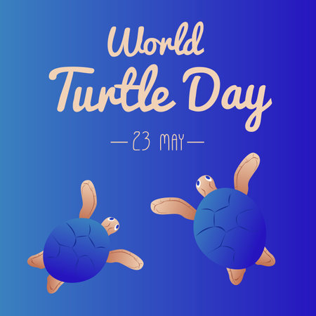World Turtle Day 23 May background. Turtle swims in the ocean against the background of the sun. Vector illustration.のイラスト素材