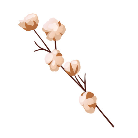 Minimalistic cotton branch illustration on white background, showing simplicity and eleganceのイラスト素材