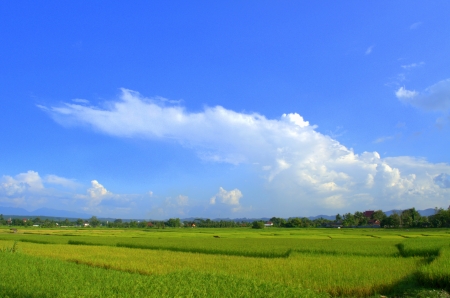 Countryside viewsの写真素材