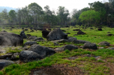 garden view of Fang hot spring,Thailandの写真素材