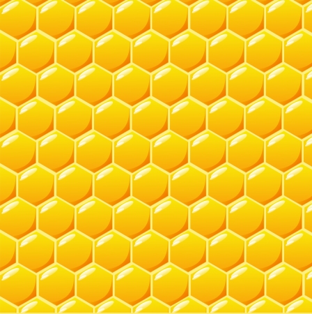 Honeycomb vector backgroundのイラスト素材
