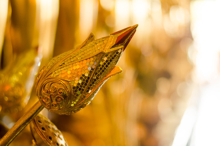 Lotus in Wat Ban Den,the temple in Chiang Mai Thailandの写真素材