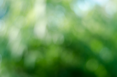 Green bokeh light of blur nature image backgroundの写真素材