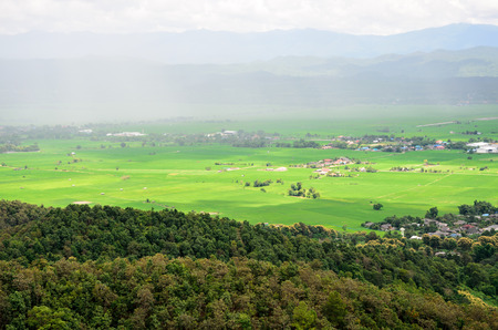 nature view in Chiang Rai,Thailand