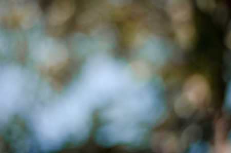 Bokeh lights abstract backgroundの写真素材