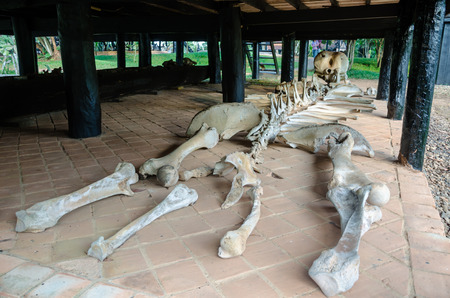 Black house museum or Baandum museum the art of Dr.Thawan Duchanee national artists of Thailand located at Chiang Rai,Thailandのeditorial素材