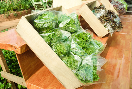 organic vegetables produceの写真素材