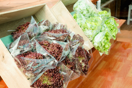 organic vegetables produceの写真素材