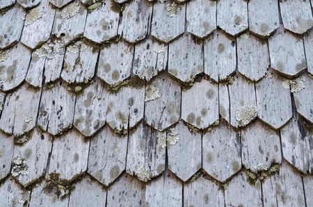 old wood texture