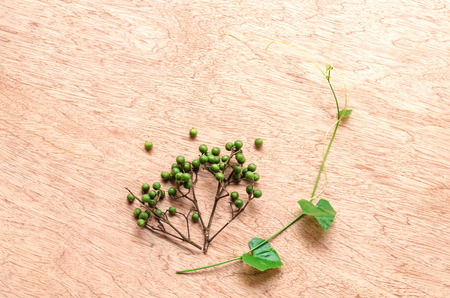 Zanthoxylum and Coccinia grandis is Thai herb that use in food