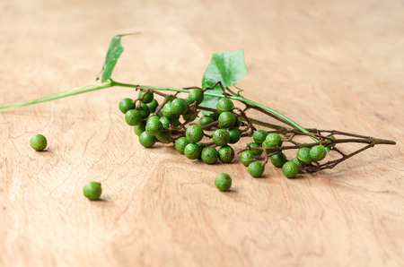 Zanthoxylum and Coccinia grandis is Thai herb that use in foodの写真素材