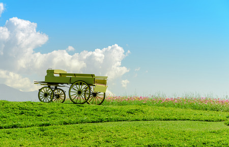 beautiful outdoor garden design on sunny dayの写真素材