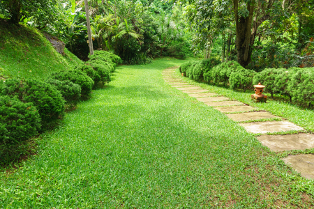 Pathway among greenery lawn with ornamental trees in outdoor gardenの写真素材