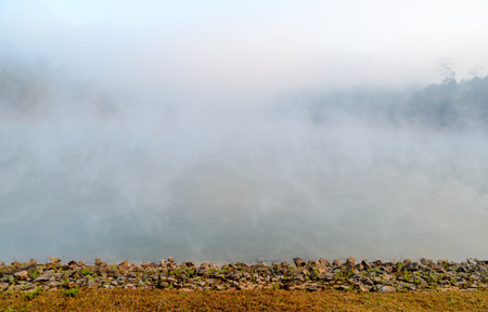 Peaceful natural in forest at Galyani Vadhana,district of Chiang Mai Province in northern Thailandの写真素材