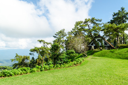 Huai Nam Dang National Park in Chiang Mai,Thailandのeditorial素材