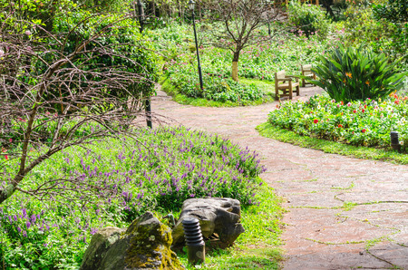 The flower garden designs at Ang Khang Royal Agricultural Station, Chiang Mai Thailandのeditorial素材