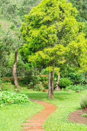 The flower garden designs at Ang Khang Royal Agricultural Station, Chiang Mai Thailandのeditorial素材