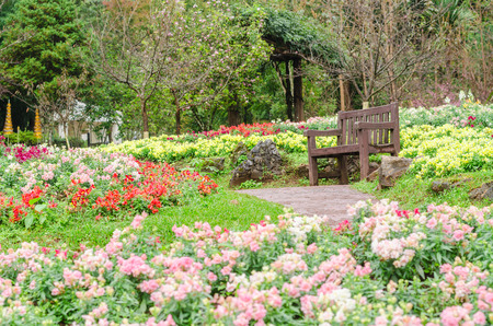 The flower garden designs at Ang Khang Royal Agricultural Station, Chiang Mai Thailandのeditorial素材