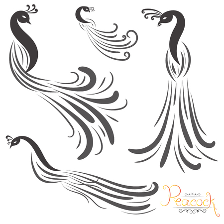 vector illustration of peacock and peacock feather isolated on whiteのイラスト素材