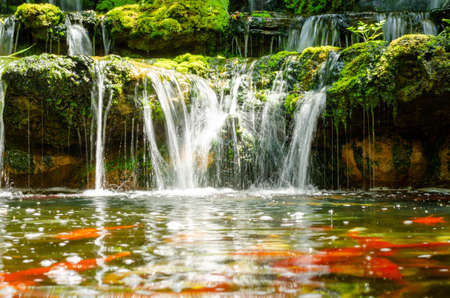 beautiful garden waterfall in the outdoorの写真素材